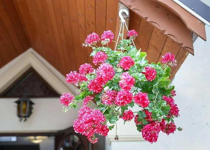 Krystian Oda ve Kahvaltı